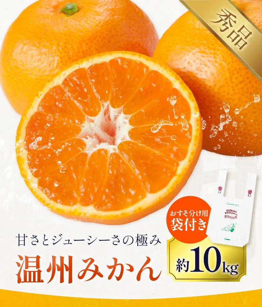 温州みかん 約10㎏ 日本フルーツ株式会社 ミカン