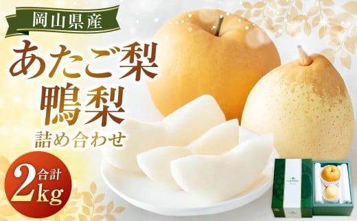 あたご梨・鴨梨（ヤーリー）詰合せ 2玉 合計約2kg 贈答箱 梨 ナシ なし 愛宕梨 あたごなし ジャンボ梨 【2026年11月下旬～12月下旬発送予定】