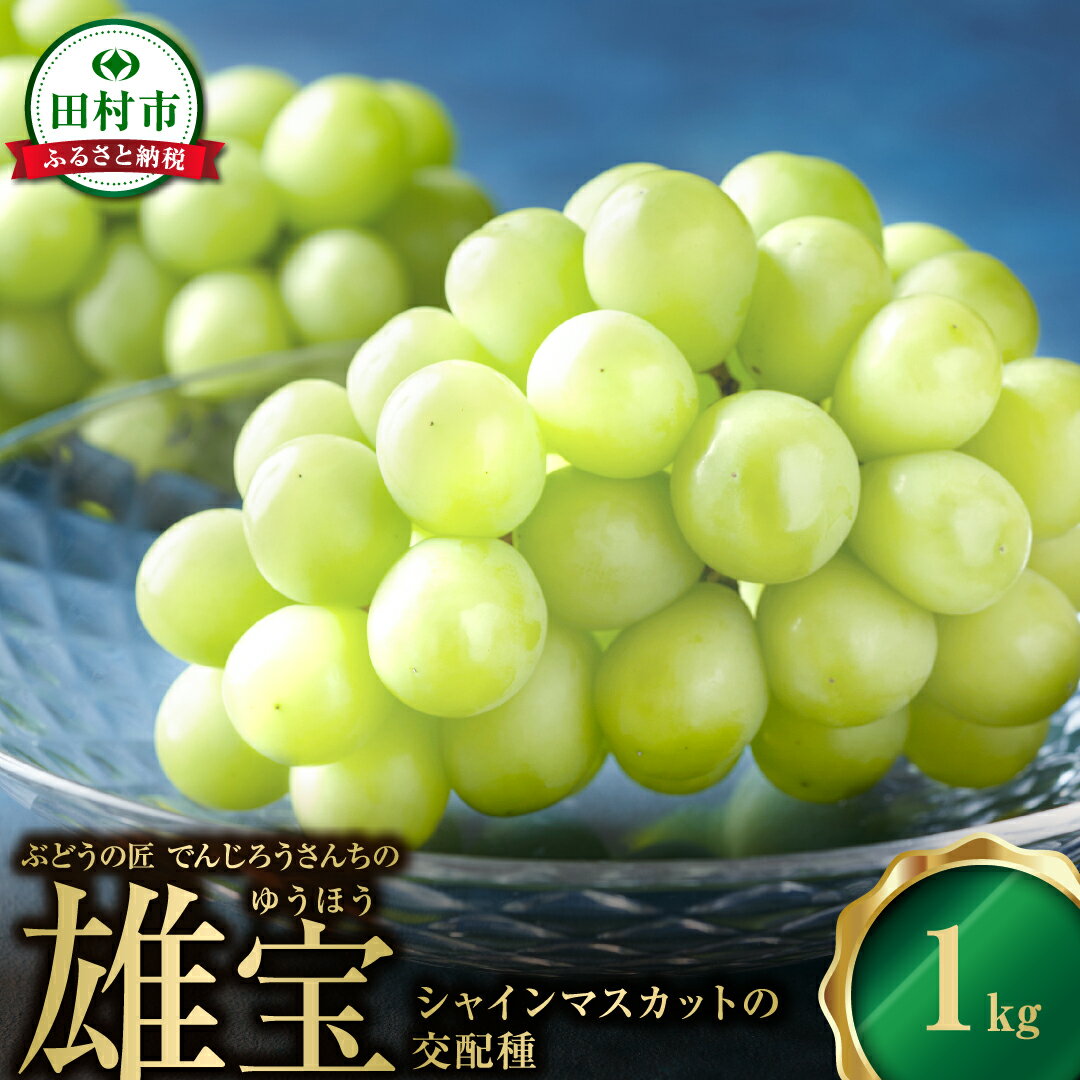 【ふるさと納税】＼ 先行予約 ／ 雄宝 -ゆうほう- 約1kg 冷蔵 高級 種無し 種なし シャインマスカット ブドウ ぶどう 品種 果物 甘い 巨峰 美味しい 希少 人気 福島県 田村市 鈴木農園 でんじろうさん