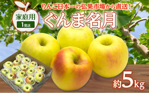
                  りんご 【 1月発送 】 家庭用 ぐんま名月 約 5kg　リンゴ 林檎 青森りんご 糖度 13度 甘い 酸味 デザート フルーツ 果物 お取り寄せ 産地直送 旬 季節限定 弘果物流 青森県 西目屋村 西目屋村産
                