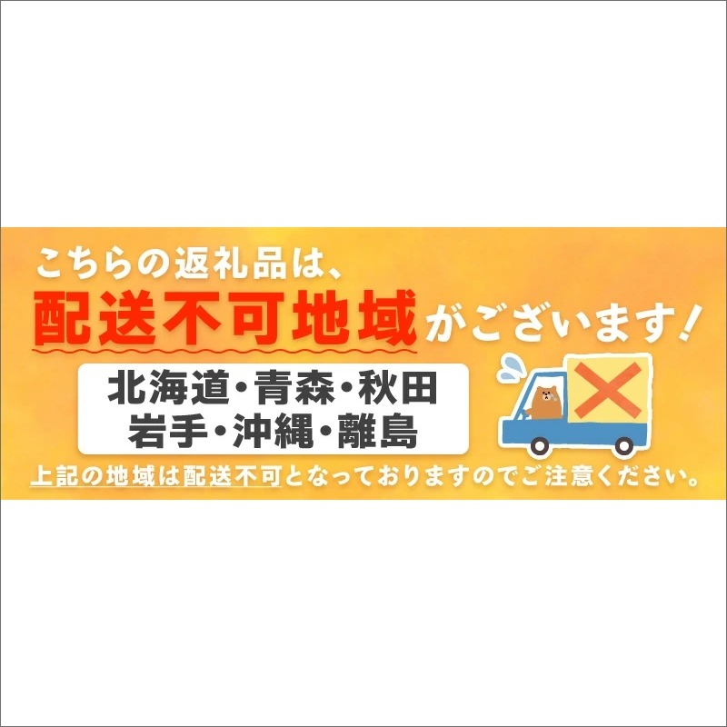 斎藤農園のアールスメロン（マスクメロン）4玉 6kg程度≪先行予約2027年6月下旬以降発送分≫【0250-3】