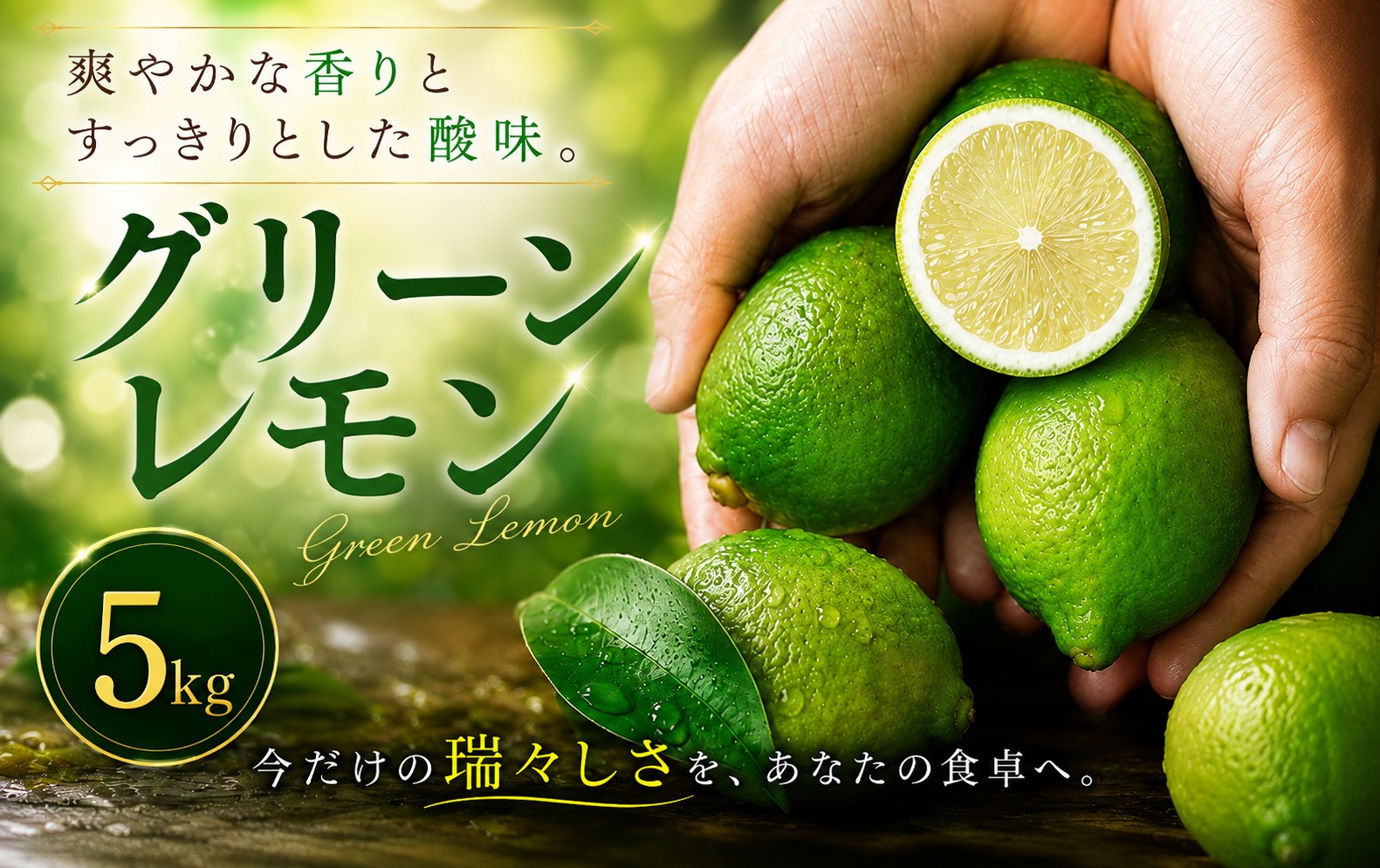 
                  【選び抜いた一箱】 鮮烈な酸味 【グリーンレモン】 5kg 愛媛県産 【2026年9月下旬頃から順次発送】 | れもん レモン lemon 檸檬 訳あり フルーツ 柑橘 果物 おすすめ お勧め お取り寄せ ギフト 愛媛県 松山市
                