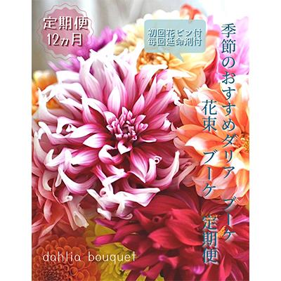 ふるさと納税 芸西村 【毎月定期便】芸西村産生花ダリア花束 ブーケ 初回花瓶付 毎回延命剤付 全12回