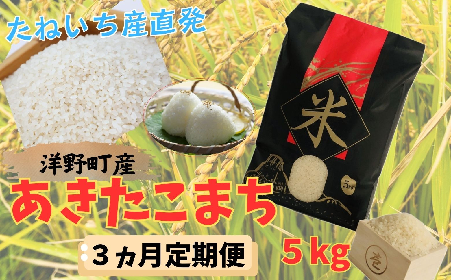 
            【3ヵ月定期便】令和7年産洋野町産あきたこまち5㎏
          