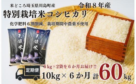 【先行受付】定期便６か月【令和8年度産　特別栽培米】埼玉県かわじま町　天領米（コシヒカリ） 5kg×２袋×6か月　計６０kg