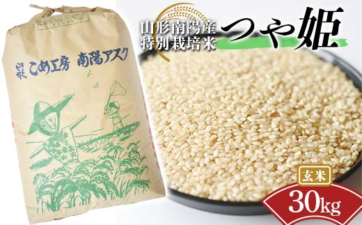 【令和7年産 新米 先行予約】 【金賞受賞農家】 特別栽培米 つや姫 (玄米) 30kg 《令和7年10月上旬～発送》 『あおきライスファーム』 山形県 南陽市 [2425-R7]