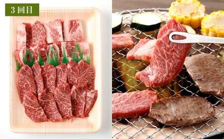 【3ヶ月定期便】 出荷数0.02％の奇跡 土佐あかうし 堪能 A セット （和牛 サーロイン すき焼き用 約500g 、和牛サーロインステーキ 約200g ×2、和牛カルビ焼肉 約200g ／ モモ焼