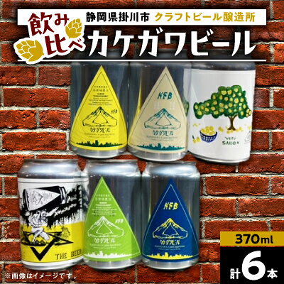 【ふるさと納税】カケガワビール6本セット【配送不可地域：離島・北海道・沖縄県・四国・九州】【1697588】