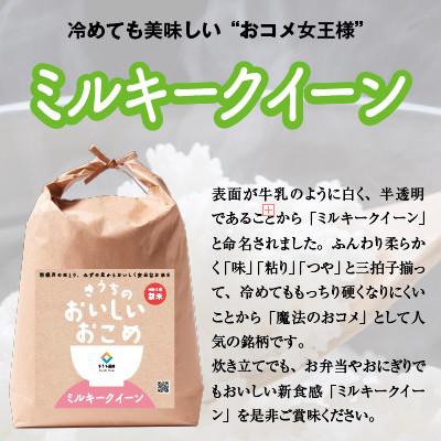 ふるさと納税 稲敷市 【令和7年産・自家栽培・自家精米・農家直送】稲敷市産ミルキークイーン　20kg(5kg×4袋) |  | 01