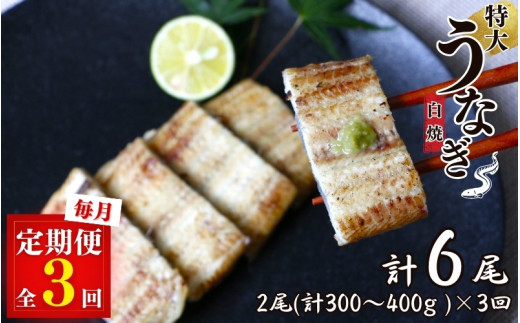 【3カ月定期便】特大うなぎ白焼き2本セット×3回 / 和歌山 田辺 うなぎ 鰻 かば焼き うな丼 うな重 国産 鰻丼【kpy027-tk】