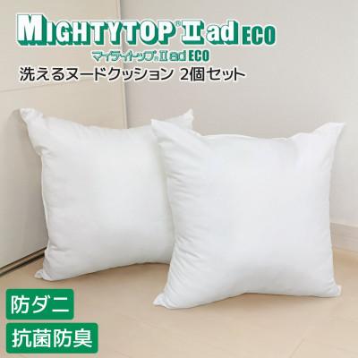 ふるさと納税 蒲郡市 ヌード 中材 背当クッション 帝人 防ダニ 防臭2個セット_【G0813】