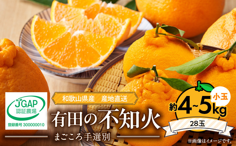 
            ZE6101n_【2026年先行予約】有田の不知火(しらぬひ）約4kg～5kg　小玉28玉（Sサイズ）まごころ手選別
          