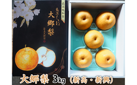 大郷梨 3kg（新高・新興） 梨 新高梨 新興梨 詰め合わせ セット 和梨 なし ナシ 新高 新興 フルーツ 果物 デザート おやつ ギフト 贈答 プレゼント 国産 新潟 