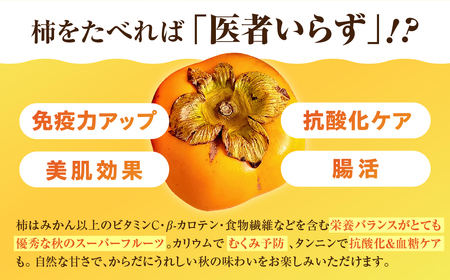 次郎柿 3kg 訳あり ご自宅用 甘 柿