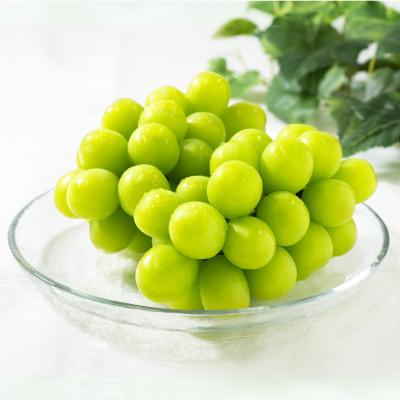 ふるさと納税 笛吹市 【発送月固定定期便】フルーツギフト専門店が選ぶ笛吹市の厳選フルーツ定期便　全2品種全2回 |  | 02