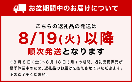 H25-104 濃州正宗作 ダマスカス 包丁2点セット プロフェッショナル 【7営業日以内発送】