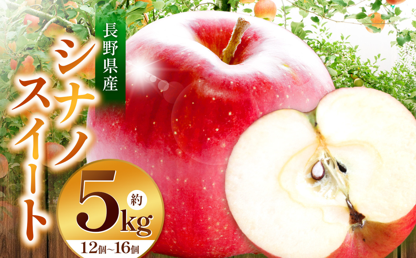 
【見た目も味もSWEET！】家庭用 シナノスイート5kg | ふるさと納税 果物 くだもの フルーツ シナノスイート リンゴ りんご 林檎 信州産 長野県 松本市 家庭用
