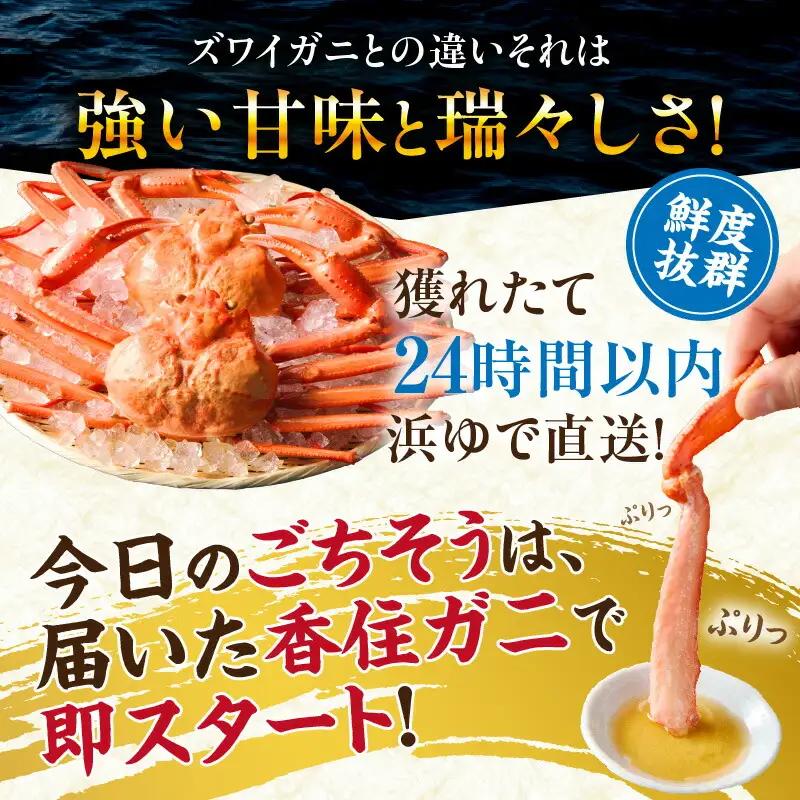 【訳あり】 香住ガニ 約600g×3匹（約1.8kg以上）【令和8年9月中旬以降発送予定】かに カニ 07-14