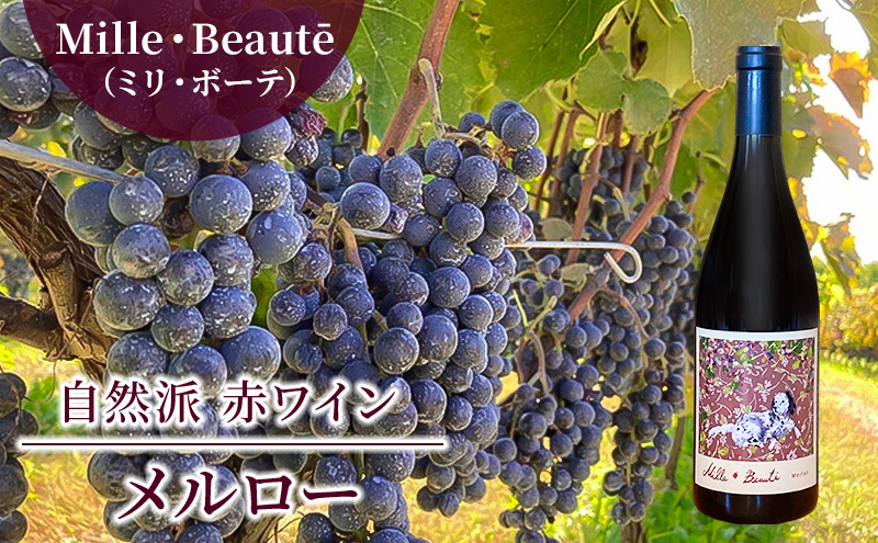 Mille・Beaute（ミリ・ボーテ）メルロー 無濾過 赤ワイン