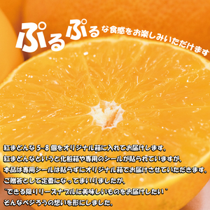 【先行予約】【2025年11月下旬以降順次発送】数量限定 紅まどんな 家庭用 オリジナル箱 〇等級 5玉ー8玉 ベニマドンナ べにまどんな 愛媛県 松山市【VEG0012】