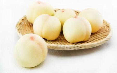 桃 定期便 2026年 晴れの国 岡山 の 白桃 ×2回 お届け 1回目 白桃 6玉（1玉250g以上）／2回目 白桃 6玉（1玉300g以上） 化粧箱入り もも モモ 岡山産 国産 フルーツ 果物 ギフト