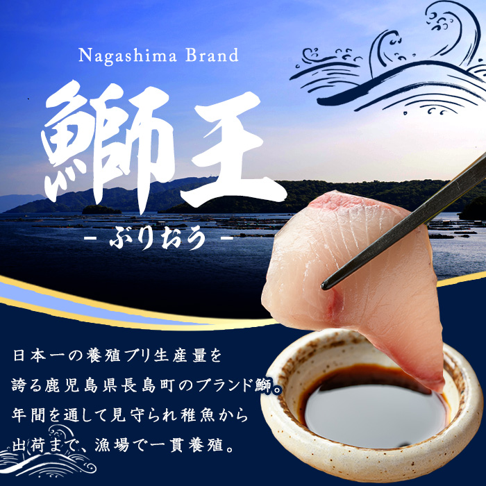 【12月28日発送】ぶりの王様「 鰤王 」 フィレ (約1.5kg・フィレ1枚) 産地直送 新鮮 旨味が抜群の 長島町 特産品 ブランド ぶり 鰤 ブリ 切り身 真空 冷蔵 刺身 ぶりしゃぶ しゃぶし