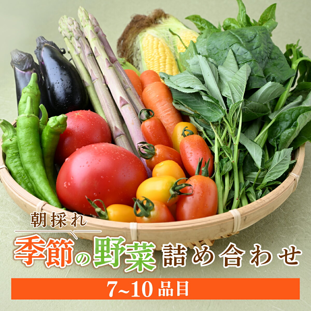 【ふるさと納税】野菜詰め合せ｜夏野菜 朝採れ 野菜 詰合せ 詰め合わせ セット 季節 旬 産地直送 春野菜 秋野菜 新鮮野菜 とうもろこし じゃがいも かぼちゃ ブロッコリー 大根 白菜 季節の野菜 国産野菜 茂木産 栃木県 茂木町 もてぎプラザ