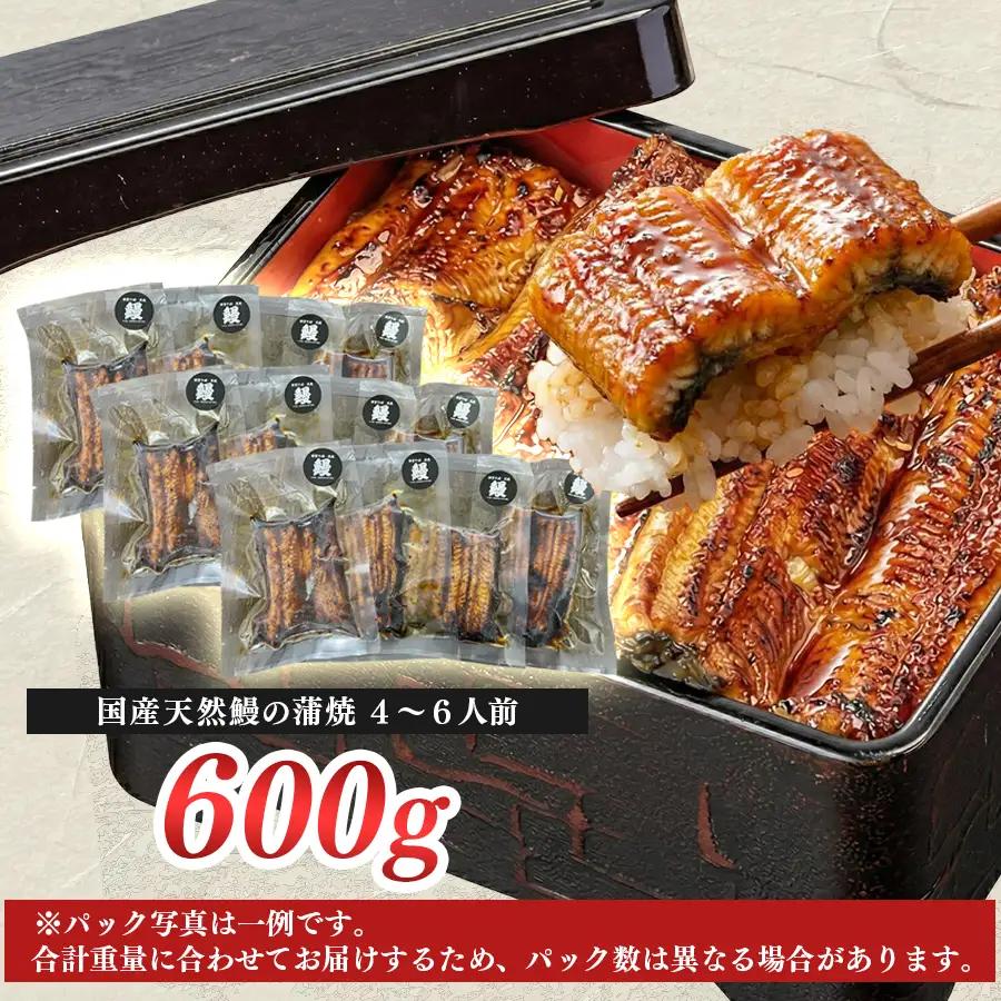 希少 天然 鰻 蒲焼  約4-6人前 600g 国産 四万十川 うなぎ ウナギ  蒲焼き ウナギ蒲焼 鰻蒲焼 うな重 備長炭 炭火 炭火焼き 冷凍 湯せん 小分け 贈答 お取り寄せ ギフトご褒美 簡単
