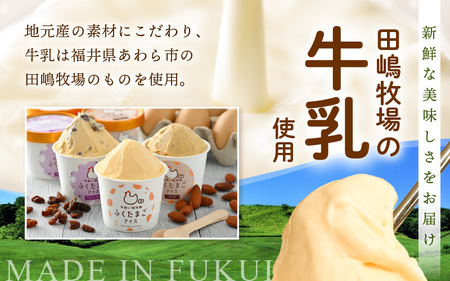 平飼い福地鶏「ふくたまごアイス」6個セット (ラムレーズン) 【アイス アイスクリーム 洋菓子 スイーツ お菓子 デザート 詰め合わせ 詰合せ セット 冷凍 贈答 プレゼント ギフト 人気】 [A-4