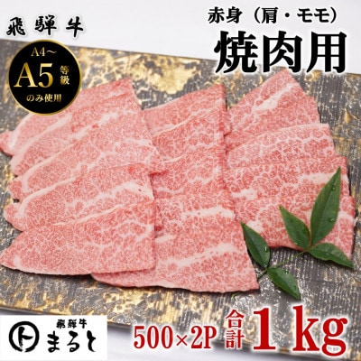 【飛騨牛】赤身焼肉用　500g×2パック　(合計1kg)【配送不可地域：離島】