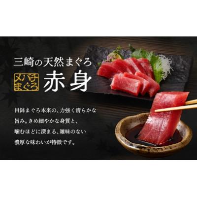 ふるさと納税 三浦市 ワンランク上の天然目鉢鮪中とろ・赤身セット　750g |  | 01