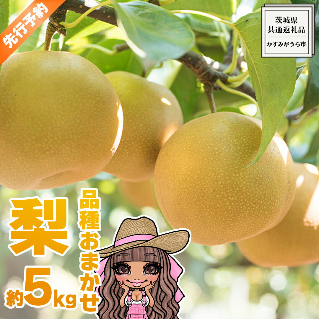 【ふるさと納税】 【 先行予約 】 品種おまかせ 採れたて 完熟天使の 甘梨 約 5kg （ 茨城県共通返礼品： かすみがうら市 ） 【 2026年8月中旬頃発送 】 フルーツ 果物 なし ナシ 旬 新鮮 旬 期間限定 甘い 国産