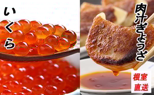 B-70029 餃子25個×2P、いくら醤油漬け100g×2P