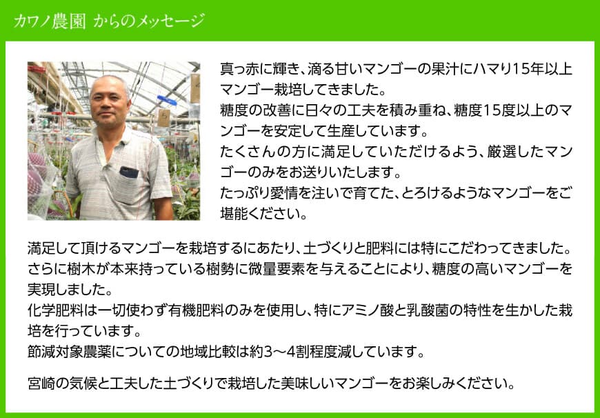 【令和7年発送】宮崎県産完熟マンゴー「果実の宝石」　2L×3玉 【 果物 フルーツ マンゴー 宮崎県産 みやざきマンゴー 先行予約 数量限定 期間限定 】[D03703]