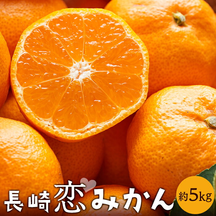 【ふるさと納税】長崎恋みかん 5kg＜期間限定／先行予約＞【2026年11月中旬以降順次発送】 | みかん フルーツ 果物 先行予約 長崎 長崎県 九州 送料無料 人気 おすすめ 特産品