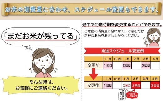 ＜令和8年産米＞ 鮭川村 雪若丸 【白米】 定期便 60kg （20kg×２ヶ月間隔で3回お届け）＜配送時期選べます＞