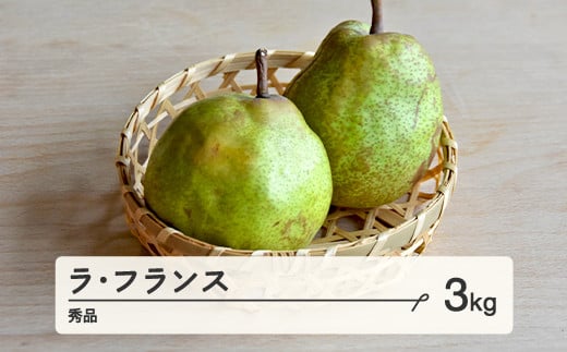 《先行予約》2025年 山形県産 ラ・フランス 秀品 3kg(6～10個) 2025年10月下旬より順次発送 F21A-348