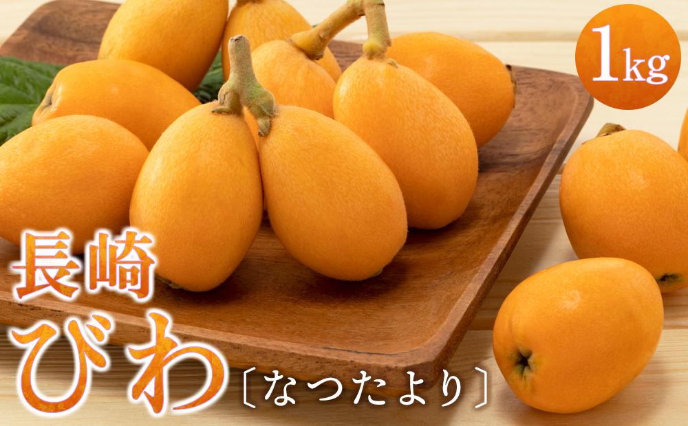 長崎びわ「なつたより」1kg＜先行予約／数量限定＞