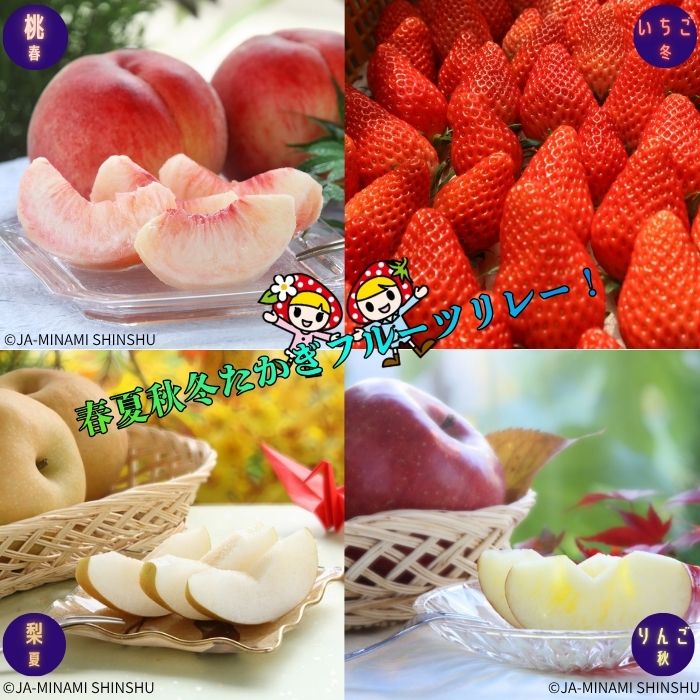 【ふるさと納税】【令和8年度発送先行予約品】8-J27 春夏秋冬たかぎフルーツリレー 桃 梨 りんご いちご あかつき 南水 サンふじ 章姫 紅ほっぺ ゆめのか リレー 定期便 5kg 2箱