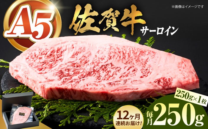 
                  【全国有数のブランド牛】＜全12回定期便＞佐賀牛サーロインステーキ 250ｇ【がばいフーズ】A5ランク 佐賀牛 牛肉 サーロイン ステーキ A5 佐賀牛 a5 1枚 和牛 黒毛和牛 小分け 冷凍 定期 12回 12ヶ月 [HCS055] 
                