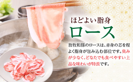 《放牧和豚》ロース薄霧スライス しゃぶしゃぶ用 300g 豚肉 ロース しゃぶしゃぶ
