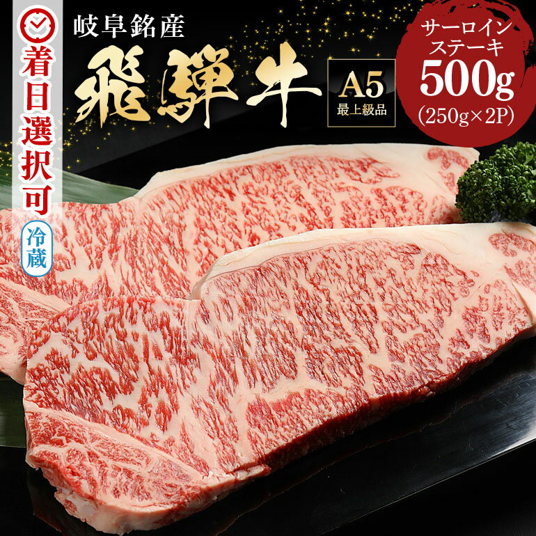 【ふるさと納税】 飛騨牛 サーロイン ステーキ（250g×2枚）冷蔵 A5 霜降り 黒毛和牛 和牛 牛肉 肉 ステーキ用 バーベキュー BBQ お盆 お中元 暑中見舞い 夏休み プレゼント ギフト 贈り物 日付指定 時間指定 y14-39 送料無料