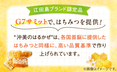 【全12回定期便】まじりっけなし！江田島産100％!はちみつ『沖美のはるかぜ』300g×2本セット ハチミツ ハニー 蜂蜜 国産 広島 江田島市/はつはな果蜂園[XCD020]
