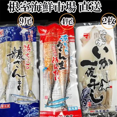 ふるさと納税 根室市 【北海道根室産】いか一夜干し2枚・さんま明太4尾・糠さんま9尾 A-28260