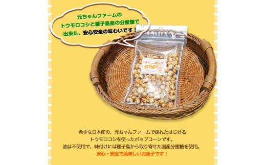 ポップコーンポンポン元ちゃんファーム《30日以内に出荷予定(土日祝除く)》トウモロコシ菓子ポップコーン---wsk_gncpcpp_30d_22_14000_300g---