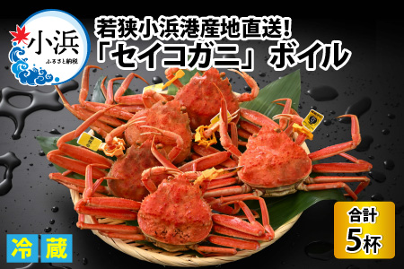 【先行予約/11月7日より順次発送】 「若狭小浜港産地直送」セイコガニ (コッペガニ) ボイル 5杯 / せいこがに コッペガニ 蟹 小浜市 / 加福鮮魚【配送不可地域：北海道・沖縄・離島】[BFBC005] 