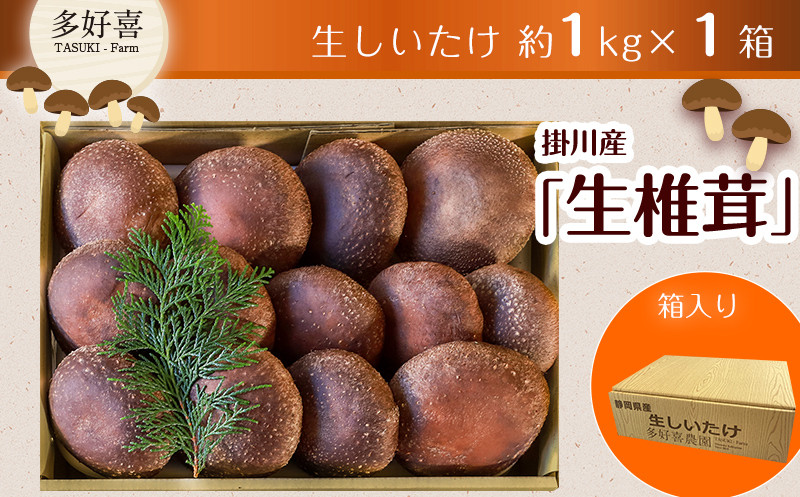 
５５３９　掛川産・生椎茸 計1ｋｇ ① 11月初旬からの発送　② 12月からの発送　③R6,1月から発送　3つの中から発送月をお選びください　令和5年11月初旬から順次発送 多好喜(たすき) 静岡 椎茸 しいたけ
