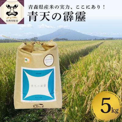 ふるさと納税 五所川原市 【令和7年産米】米 青天の霹靂 5kg 特別栽培米 青森県産