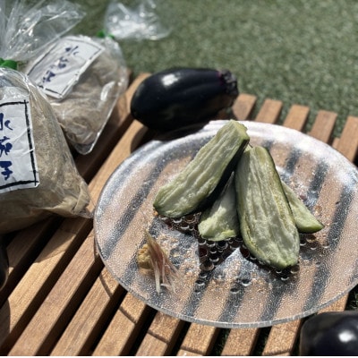 水茄子(生)5個・水茄子糠漬け(5個)セット【配送不可地域：離島・北海道・沖縄県】