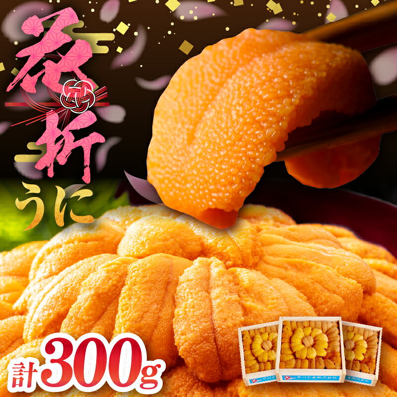 【ふるさと納税】浜中産　養殖エゾバフンウニ(塩水パック)100g×3枚 セット 北海道 食品 加工品 魚介類 海産物 海鮮 海の幸 雲丹 ウニ 天然 バフンウニ おつまみ 折詰 濃厚 ご馳走 ご褒美 ギフト プレゼント 贈り物 贈答 冷蔵 浜中町 送料無料
